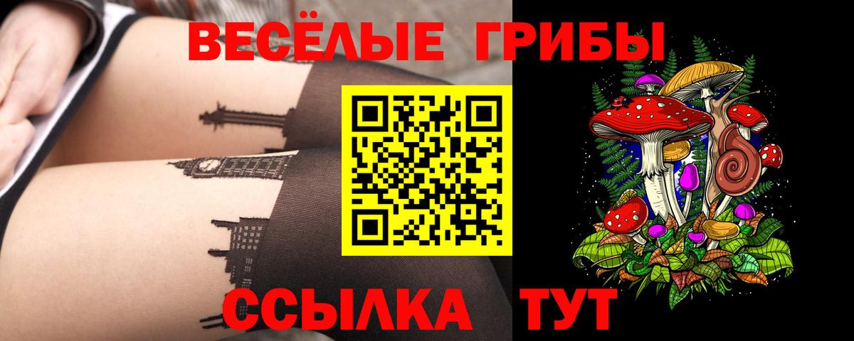 Псилоцибиновые грибы ЛСД Волгодонск