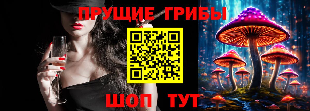 Галлюциногенные грибы мицелий  Вход с VPN  Галлюциногенные грибы Psilocybine cubensis  Волгодонск 